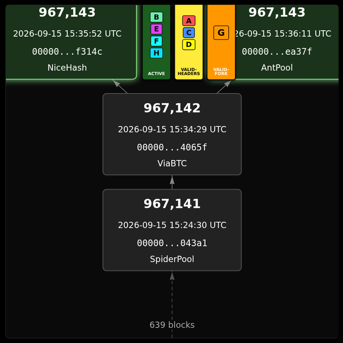 This image is a Bitcoin blockchain fork monitor visualization detecting a chain split at block height 967,143. Two competing blocks at the same height were mined almost simultaneously by different mining pools: NiceHash produced block 967,143 (hash ending in f314c) at 15:35:52 UTC, while AntPool produced another block 967,143 (hash ending in ea37f) just 19 seconds later at 15:36:11 UTC. Both blocks built upon ViaBTC's block 967,142 (hash ending in 4065f), which itself extended SpiderPool's block 967,141 (hash ending in 043a1), with the most recent reorganization 639 blocks deep noted at the bottom. The status indicators show the NiceHash block as ACTIVE, while the AntPool block is flagged as VALID-FORK, illustrating the temporary competing chains before the network reaches consensus on which block becomes the canonical chain.