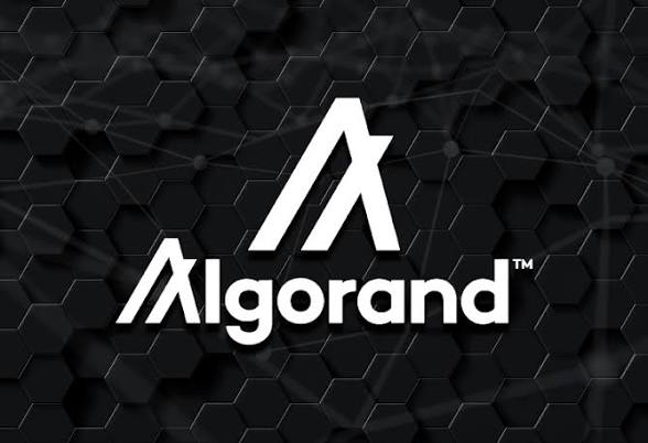 The Algorand logo is displayed in white text against a dark hexagonal patterned background.