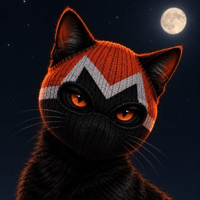 A digital illustration of a black cat with glowing orange eyes wearing a red and white knitted beanie, set against a starry night sky with a full moon.