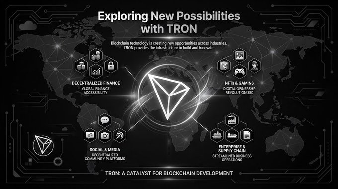 An infographic titled 'Exploring New Possibilities with TRON' showing a world map with categories like Decentralized Finance, NFTs & Gaming, Social & Media, and Enterprise & Supply Chain, describing TRON as 'A CATALYST FOR BLOCKCHAIN DEVELOPMENT.'