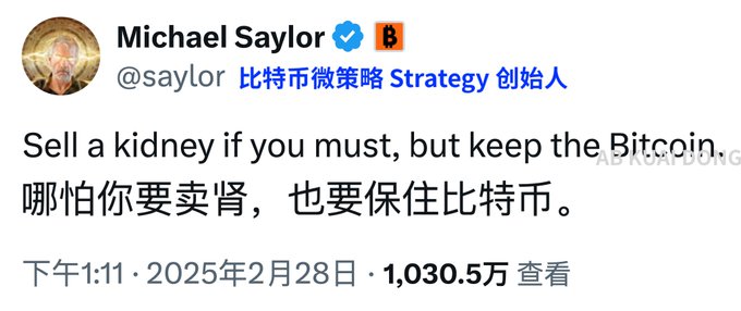 The image features a post by Michael Saylor, which includes a quote about Bitcoin written in Chinese. The post also contains an image of a man with a beard wearing a hat. The text "Saysayor" can be seen on the post as well.