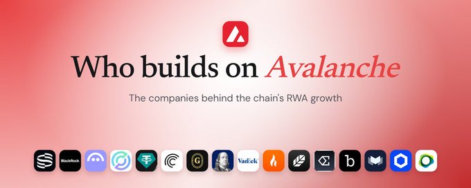 Promotional banner titled 'Who builds on Avalanche - The companies behind the chain's RWA growth,' featuring the Avalanche logo and icons of various partner projects including Blackrock, Tether, and VanEck.