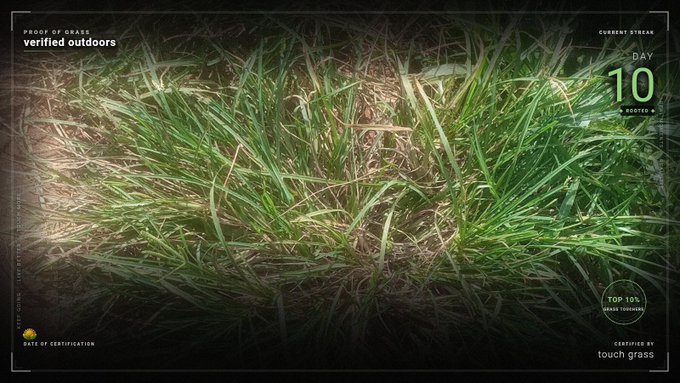 A close-up photo of grass with overlay text reading 'verified outdoors', 'CURRENT STREAM DAY 10', and 'CERTIFIED BY touch grass'.