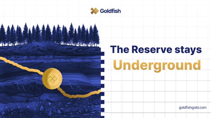 A Goldfish promotional graphic with the text 'The Reserve stays Underground' alongside an illustration of a gold coin buried beneath the earth's surface, branded with goldfishgold.com.