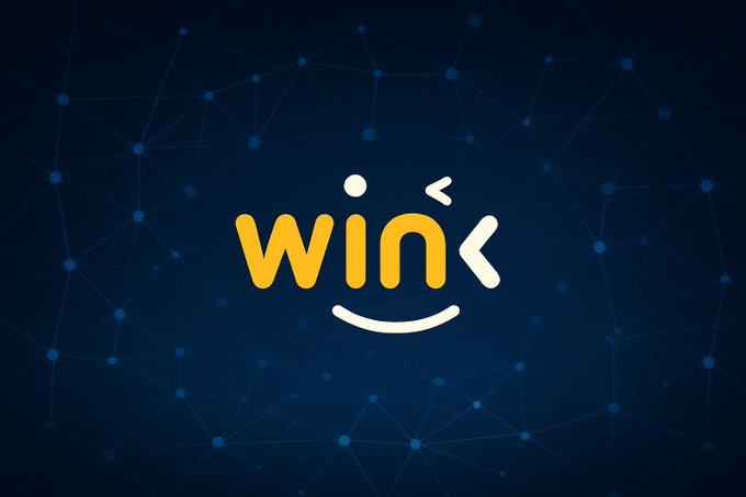 Logo for 'WINK' displayed in yellow and white text on a dark blue background with a network/mesh pattern, featuring a smiling face design.