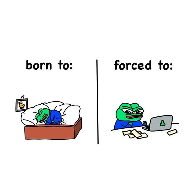 A meme with two panels: "born to:" shows a cartoon frog sleeping peacefully in bed, while "forced to:" shows the same frog angrily working at a laptop surrounded by papers.