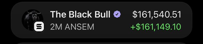 The image shows a profile for "The Black Bull" with a verified checkmark, holding "2M ANSEM" and displaying a balance of $161,540.51 with a notable gain of +$161,149.10, suggesting the user recently transferred or cashed out their holdings—aligning with the post about "full porting" everything from their wallet to seek salvation from @blknoiz06.