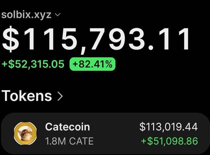 A screenshot of the "solbix.xyz" wallet tracker displaying a portfolio value of $115,793.11 with a gain of +$52,315.05 (+82.41%), showing 1.8M Catecoin (CATE) tokens valued at $113,019.44 with a +$51,098.86 increase—visually confirming the post's claim of turning $3,010 into roughly $107,000+ in profit on the Cate token.