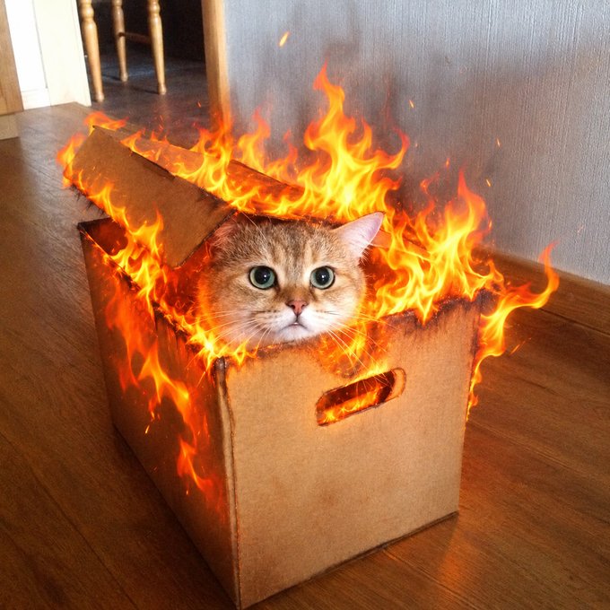 An AI-generated image of a tabby kitten sitting inside a cardboard box that is engulfed in flames.