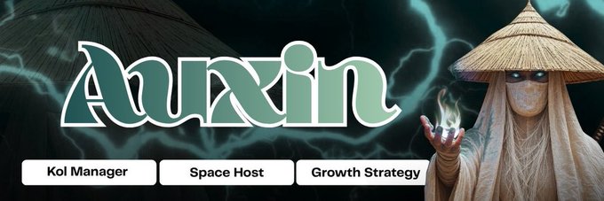 The image is a stylized banner featuring the name "Auxin" in large green letters against a dark background with teal lightning effects, alongside a mystical figure wearing a conical straw hat and glowing white eyes, holding a flame in their outstretched hand. Below the title are three tags: "Kol Manager," "Space Host," and "Growth Strategy." The banner visually reinforces the post's introduction of Auxin as a Web3-focused growth strategist, KOL manager, and X Spaces host, with the mystical, energy-themed aesthetic symbolizing the "clarity, not noise" approach to community building mentioned in the text.