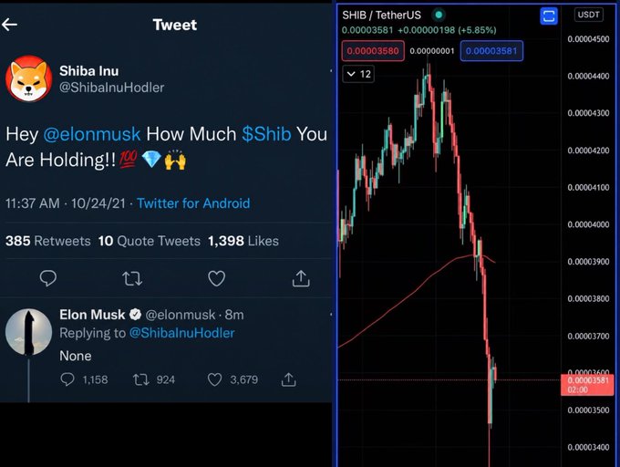 A screenshot of a tweet from Shiba Inu (@ShibaInuHodler) asking 'Hey @elonmusk How Much $Shib You Are Holding!!' with Elon Musk replying 'None', alongside a SHIB/USDT price chart showing a sharp decline.