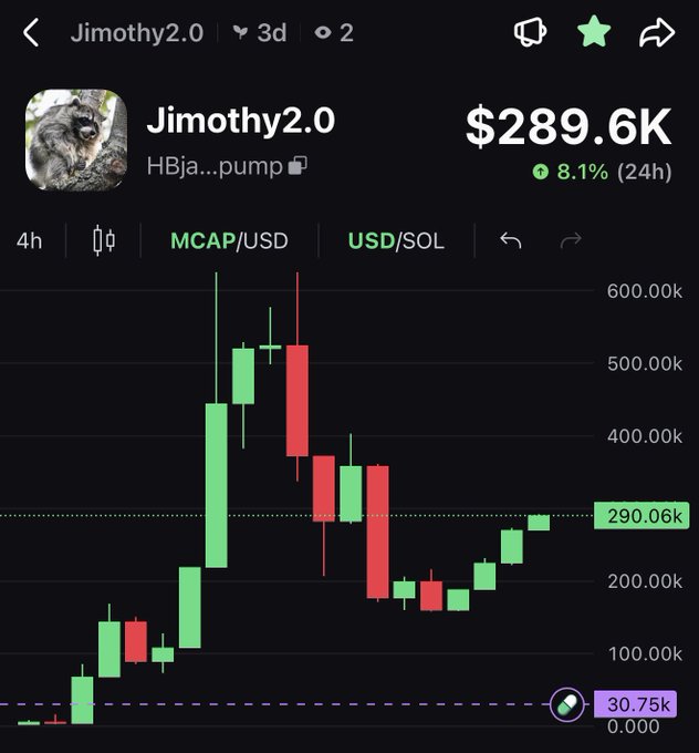 A screenshot of a cryptocurrency trading chart for the token "Jimothy2.0" (contract HBja...pump), showing a market cap of $289.6K with an 8.1% gain over 24 hours and a candlestick pattern depicting a sharp rally followed by a correction on the 4-hour timeframe.