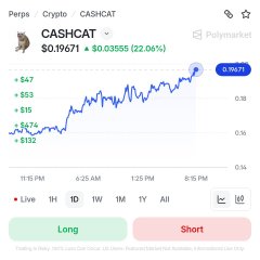 A Polymarket chart displays CASHCAT's price at $0.19671, up 22.04% (+$0.03555), with the line trending sharply upward over the past day amid trade options for "Long" or "Short." The image supports the post's bullish sentiment by visualizing CASHCAT's recent price surge and momentum.