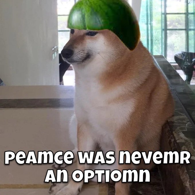 A Shiba Inu dog sits on a table wearing a green helmet, with meme text reading 'PEAMCE WAS nevEMR An OPTIOMn' in stylized alternating capital and lowercase letters.