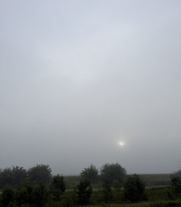 A faint sun glows through thick fog above a silhouetted tree line, mirroring the post's message that even when the view is obscured, light and beauty are still present and unfolding.