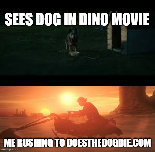 The image shows two different scenes of a dog riding a motorcycle or a jet ski at sunset. The first scene depicts a dog sitting on top of a motorcycle with its eyes closed, while the second scene shows another dog riding a jet ski at high speed. Both images are accompanied by text that reads "Sees Dog in Dino Movie" and "Me rushing to doesthedog.com".