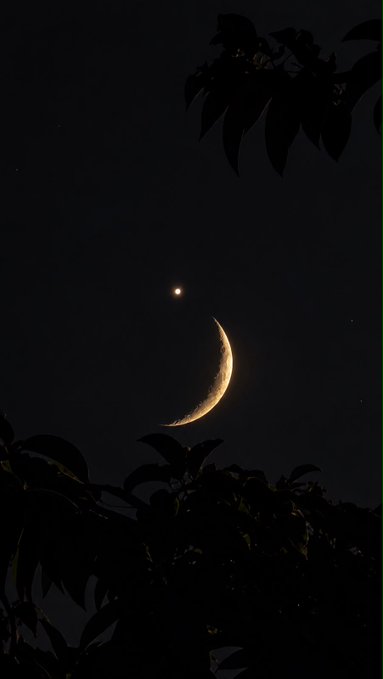 A bright crescent moon and a smaller bright planet or star shine in a dark night sky, framed by silhouetted tree leaves in the foreground.