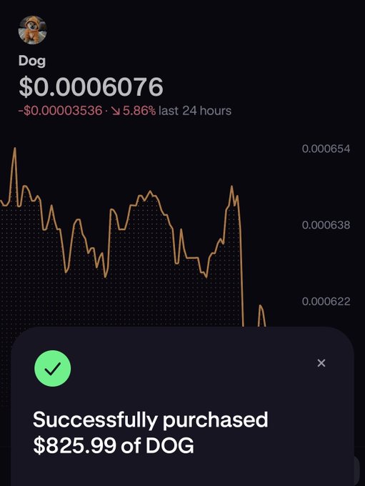 The image shows a screenshot of an app called "DOG", which appears to be a cryptocurrency trading platform, with a green checkmark symbolizing that someone has successfully purchased $8,959 worth of DOG. The text on the screen reads "Successfully purchased $8,959 of DOG".