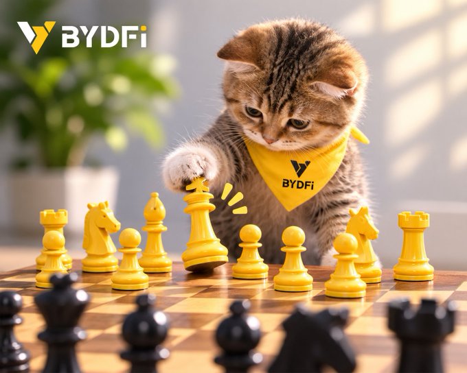 Adorable tabby kitten wearing a yellow 'BYDFi' bandana playing chess with yellow pieces on a wooden board, with the BYDFi logo in the upper left corner.