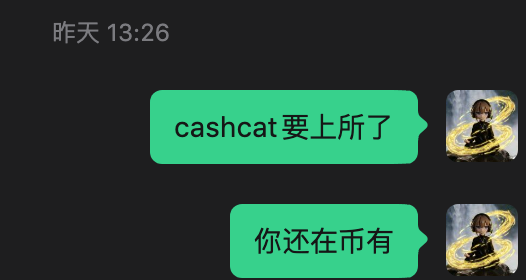 A screenshot of a WeChat conversation in Chinese, with messages reading 'cashcat要上市了' (cashcat is going public) and '你还在币有' (do you still have coins).
