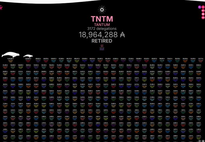 Dark-themed crypto analytics dashboard showing 'TNT TANTUM' with 3,172 delegations and a retired amount of 18,964,288 ₳, displaying rows of data metrics.