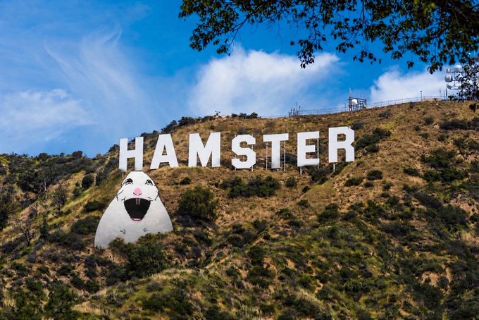 A photograph of a hillside resembling the Hollywood sign, but with the letters spelling 'HAMSTER' and a large cartoon hamster character placed below the text.