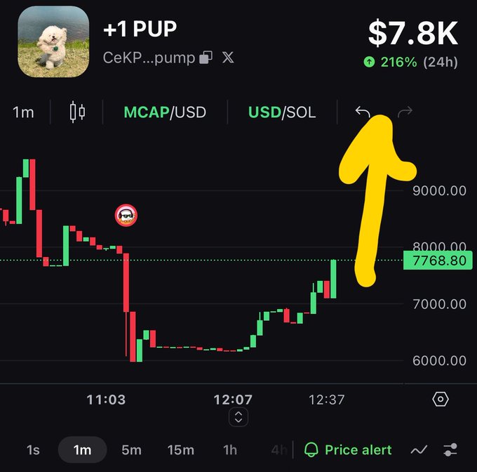 A cryptocurrency chart for the token '+1 PUP' (CeKP...pump) showing a market cap of $7.8K with a 216% increase over 24h, displayed on a 1-minute candlestick chart.