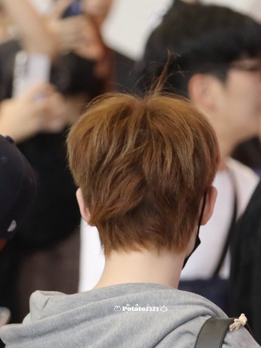 The image shows the back of a person with light brown hair that appears to have a wild, fluffy, and voluminous texture, resembling fur. The watermark "Potato2323" is visible at the bottom of the image, and the person's hair indeed looks as though a bear's fur is "bursting out" from the crown, matching the caption's playful description.