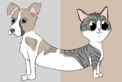 An illustration showing a dog and a cat joined together as a single two-headed hybrid animal.