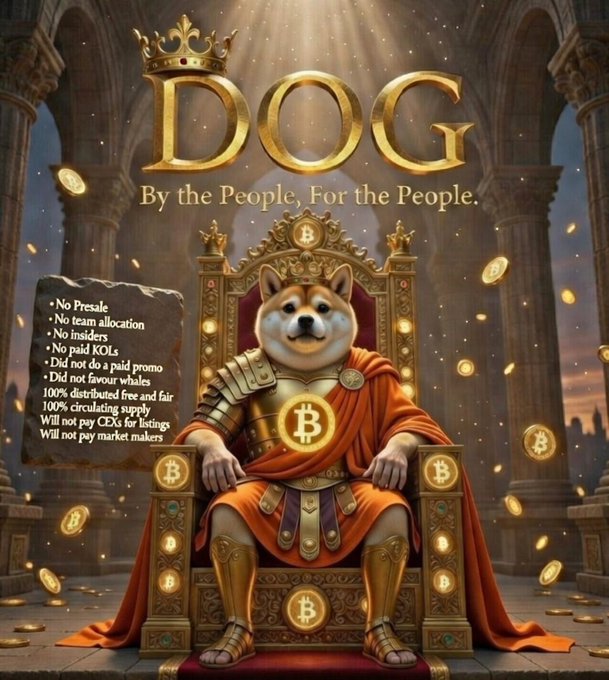 The image features a dog sitting on a throne, wearing an orange robe with gold trim. The dog appears to be royalty or a king, as indicated by its regal posture and attire. The background of the image includes columns and arches, suggesting that this scene takes place in a palace or similar grand structure. The caption below the image reads "DOG", which is likely meant to be humorous or playful, given the dog's royal appearance on the throne.