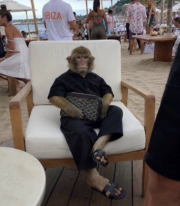 A monkey dressed in a black shirt, black pants, and sandals sits on a cushioned wooden chair at a beach club, holding a patterned designer clutch purse.