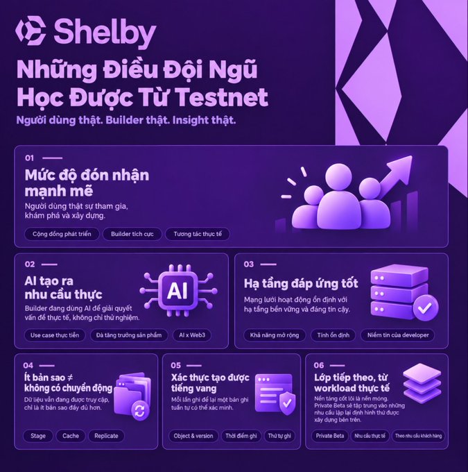 An infographic in Vietnamese for Shelby, titled 'Những Điều Đội Ngũ Học Được Từ Testnet', detailing six lessons learned including user engagement, AI-driven needs, infrastructure stability, IT banking, gold coin creation, and future plans.