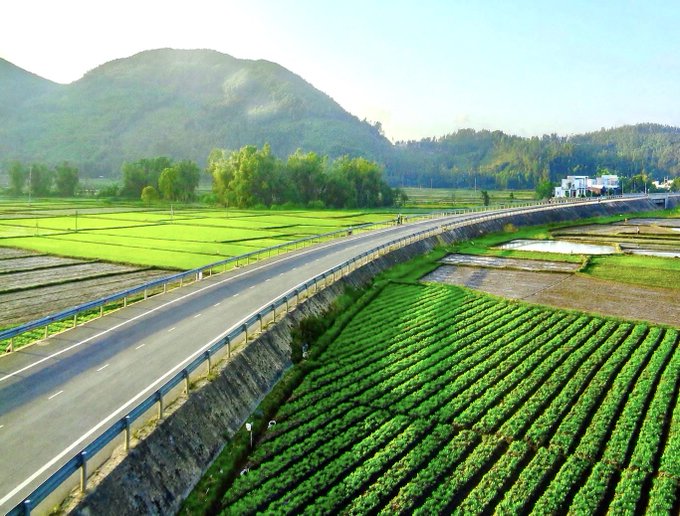 An aerial view of a rural road winding through vibrant green rice paddies and farm fields, with forested mountains rising in the background under a clear sky.