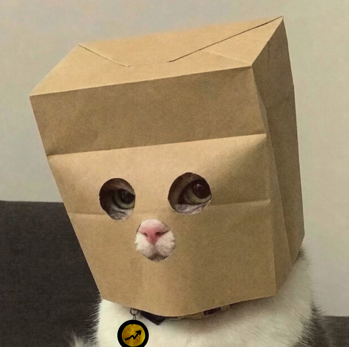 A humorous photo of a white and grey cat wearing a brown paper bag over its head with eye and mouth holes cut out, showing only its green eyes and pink nose, with a yellow circular tag visible on its collar against a dark couch background.