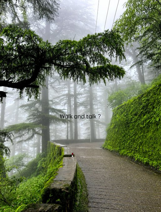 A misty forest path winds between moss-covered stone walls, with the caption "Walk and talk?" overlaid on the image, inviting someone to enjoy a peaceful stroll together in the foggy woods.