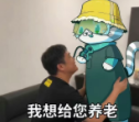 The image shows a man kissing a wall mural of a cartoon frog wearing a yellow hat and blue outfit, with Chinese text "我想给您养老" ("I want to support you in your retirement") visible at the bottom. The post's mention of "ed szn" (ending season) and the phrase about "supporting in retirement" humorously suggests the user feels they've reached the end stage or are cashing out, aligning with the meme's theme of humbly committing to long-term loyalty—or in crypto terms, holding through the end.