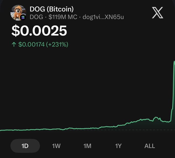 A price chart of DOG (Bitcoin) on a Solana DEX tracker showing a price of $0.00025 with a 231% gain ($0.00174 increase) over 24 hours and a $119M market cap, featuring a dramatic green spike on the right side of the "ALL" timeframe graph that visually illustrates the "god candle" referenced in the post.