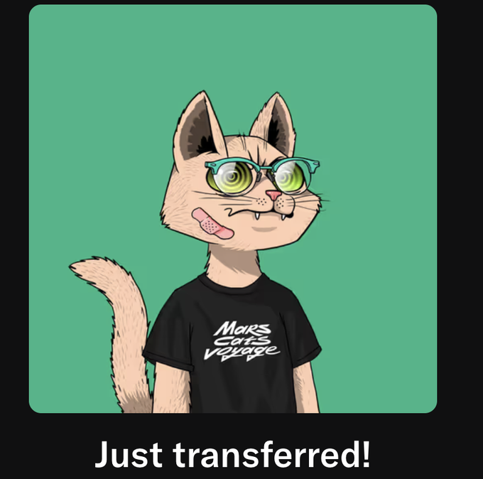 An NFT-style cartoon illustration of a cat with green eyes wearing glasses and a "Mars Cats Voyage" black t-shirt, with a band-aid on its cheek, captioned "Just transferred!"