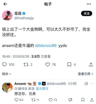 The image shows a Chinese social media post from user 花花 (@huahuayiy) with 2.9万 views, commenting that someone named "blnknoiz06" appears to be a heavy buyer ("大金狗") on-chain, unable to hold positions and not faring well in trading, and asking if this person is impressive. Below, user Ansem (@blknoiz06) responds asking to be translated, saying "想念你, 兄弟" (Miss you, brother).