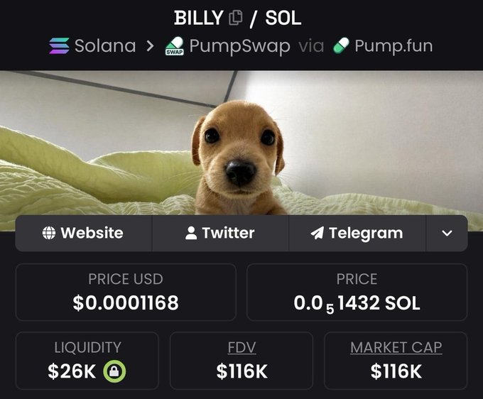 Cryptocurrency token page for 'BILLY / SOL' on Solana via PumpSwap and Pump.fun, featuring a cute puppy image, with price showing $0.0001168 USD / 0.0001432 SOL, liquidity $26K, FDV $116K, and market cap $116K.