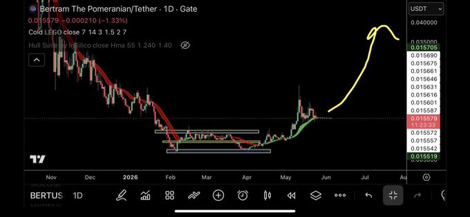 xtrader app displays a black background with red and green lines, indicating the current trend of a cryptocurrency named "Bertus".