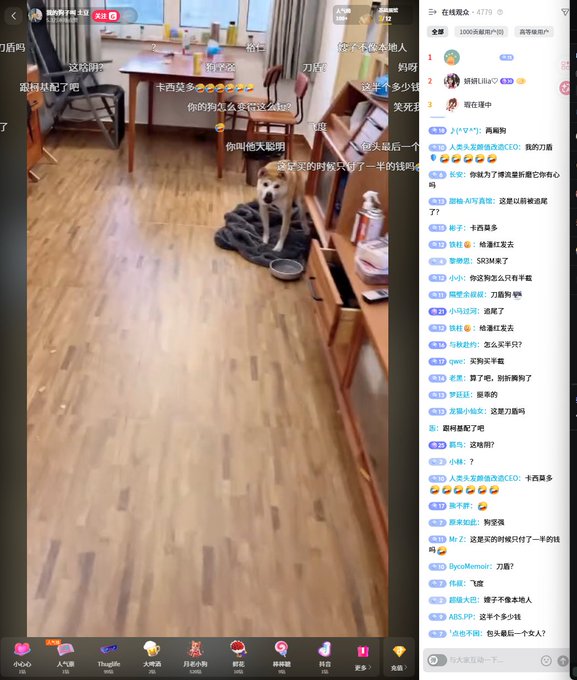 A dog sits alone on a blanket in an empty room during a livestream, with Chinese comments from 477 viewers scrolling on the right side, reflecting the post's observation that the livestream is attracting a notable audience.