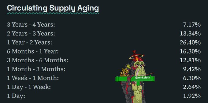 A slide titled 'Circulating Supply Aging' shows the percentage breakdown of Bitcoin holdings by age brackets, ranging from 7.17% held for 3-4 Years down to 1.92% held for 1 Day, alongside a cartoon NFT character labeled @renkieleth.