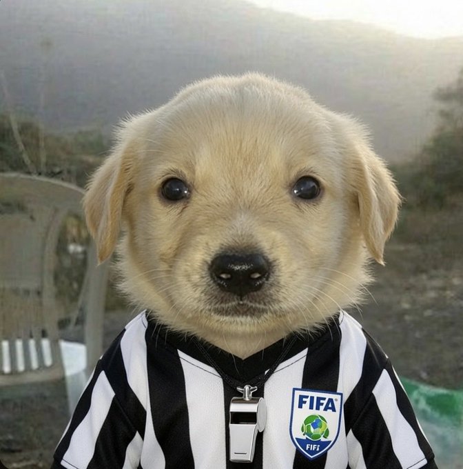 The image features a small puppy dressed as a referee, wearing a black and white striped shirt with a whistle around its neck. The puppy's face is prominently displayed against this background, making it the main focus of the photo. The caption below the image reads "That day, shortly after we finished talking, Moonshot went public $Jotchua Jotchua is just like the early hat dog WIF, the early michi vibe Let' s go to 50m".