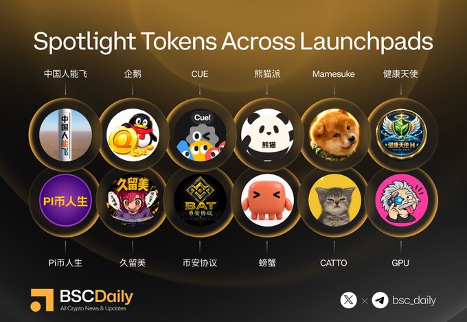 The image showcases "Spotlight Tokens Across Launchpads" on BNB Chain, featuring 12 token icons under the Flap launchpad, including 中国人能飞, 企鹅, CUE, 熊猫派, Mamesuke, 健康天使, Pi币人生, 久留美, 币安协议, 螃蟹, CATTO, and GPU, highlighting Flap's dominance in attracting concentrated trading volume with more featured tokens than competing launchpads.