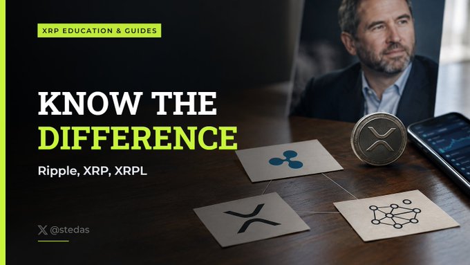 An educational thumbnail titled 'KNOW THE DIFFERENCE' about 'Ripple, XRP, XRPL' under the heading 'XRP EDUCATION & GUIDES', showing a man looking thoughtfully at a table with XRP logos and a physical Ripple coin next to a laptop, credited to '@stedas'.
