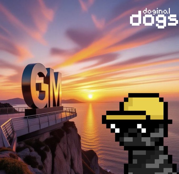 A digital artwork featuring a sunset seascape with a large 'GM' sign on a cliff, a pixel-art dog character wearing a yellow cap, and the text 'dosinol dogs' in the corner.