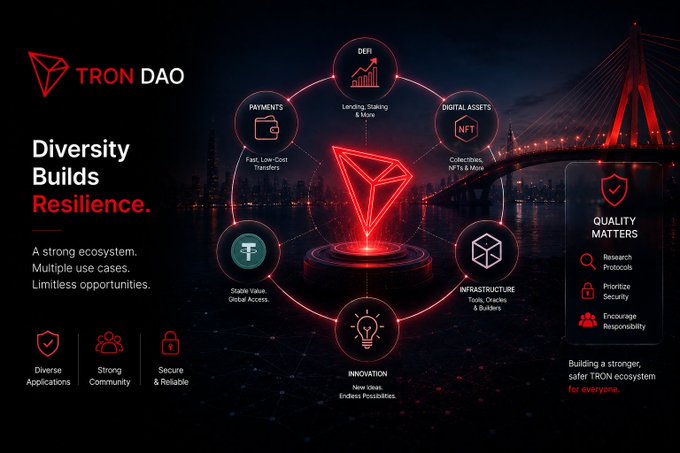 A promotional graphic for TRON DAO with the tagline "Diversity Builds Resilience," highlighting multiple use cases including DeFi, Payments, Digital Assets, Infrastructure, Stable Value, and Innovation, alongside "Quality Matters" principles.