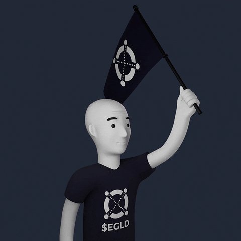 The image features a cartoon character, likely a man or a boy, wearing a black t-shirt with white text that says "EGLD" and has an X symbol on it. The character is holding up a flag, possibly a black flag with a white circle design at the top. The caption of the post reads: "Fly the flag because one day we will be flying high".
