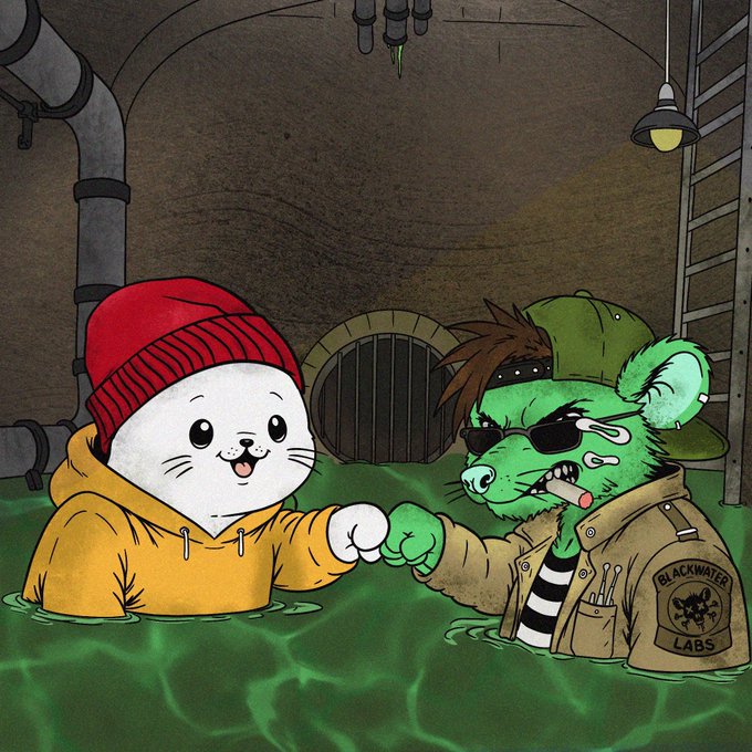 An illustration depicts a cute seal character in a red beanie and yellow hoodie fist-bumping with a green rat-like character wearing sunglasses and a 'BLACKWATER LABS' jacket in a sewer setting.